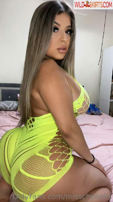 misscheeeks nude OnlyFans, Instagram leaked photo #39