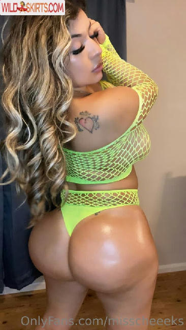 misscheeeks nude OnlyFans, Instagram leaked photo #42