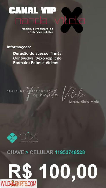 Nanda Vilela / Nanda.vilela69 / realnandavilela nude Instagram leaked photo #11