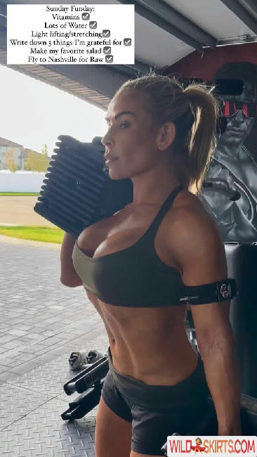 Natalya Neidhart / Wwe / jenni-neidhart / natalya_boat nude OnlyFans, Instagram leaked photo #216