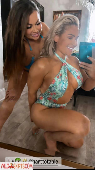 Natalya Neidhart / Wwe / jenni-neidhart / natalya_boat nude OnlyFans, Instagram leaked photo #47