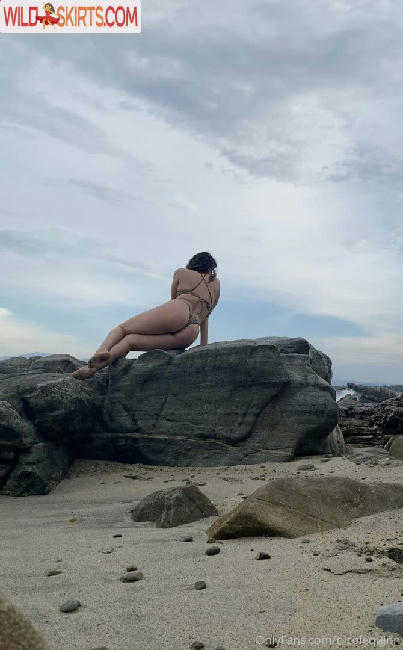 Nicole Quinn / nicolequinn / nicoquinnbb nude OnlyFans, Instagram leaked photo #24