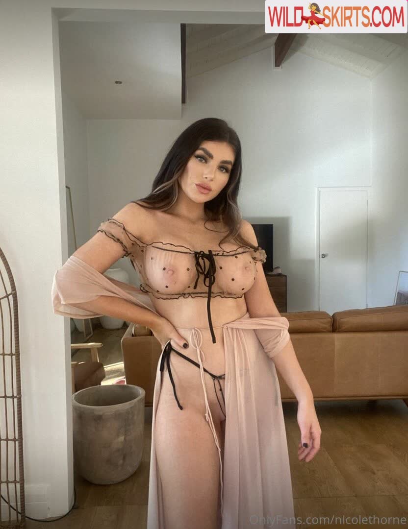 Nicole Thorne / nicolethorne nude OnlyFans, Instagram leaked photo #1