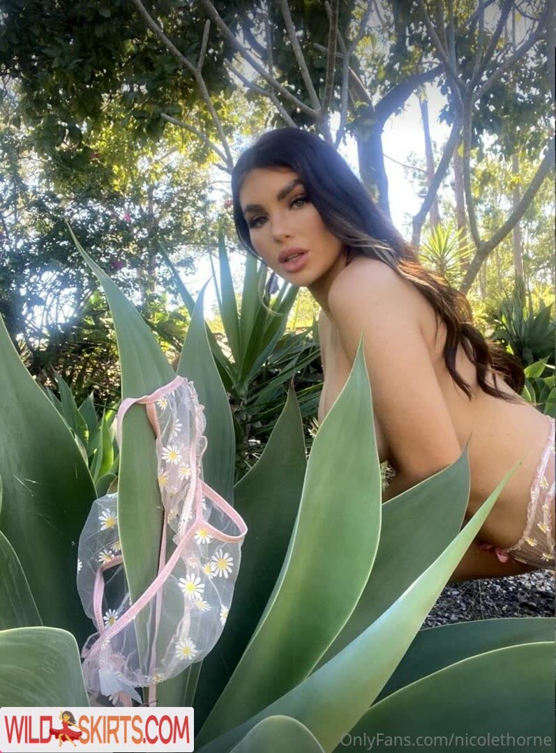 Nicole Thorne / nicolethorne nude OnlyFans, Instagram leaked photo #3