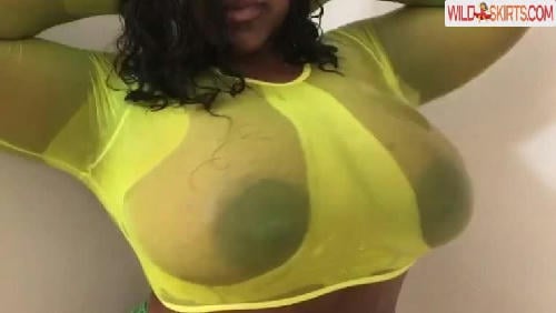 Nikiarenee / msnikiarenee / nikiarenee nude OnlyFans, Instagram leaked photo #22