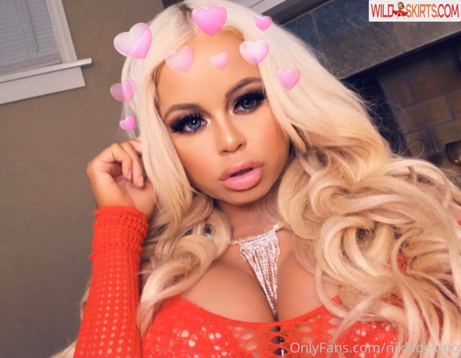 Nikkidelano nude leaked photo #244