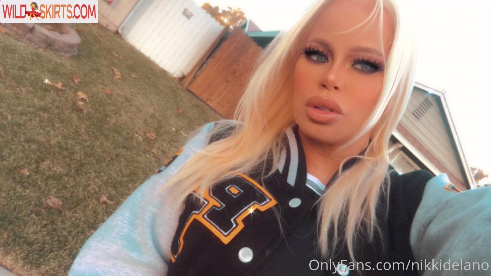 Nikkidelano nude leaked photo #5