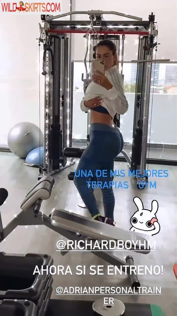 Ninel Conde nude leaked photo #1040