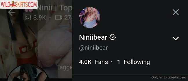 Niniibear / Niniitard / Ninitard / niniibear nude OnlyFans, Instagram leaked photo #49