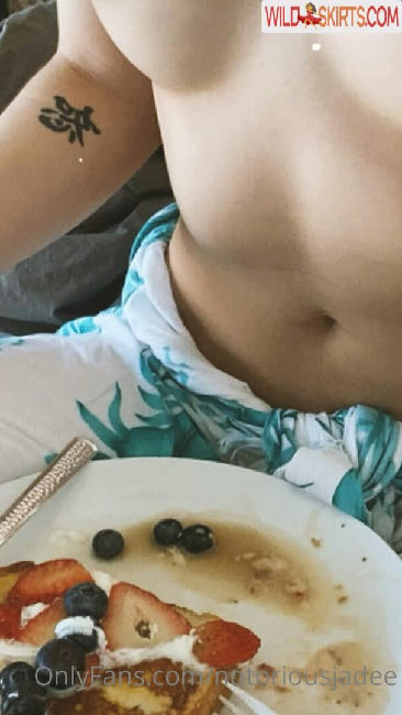 notoriousjadee nude OnlyFans, Instagram leaked photo #2