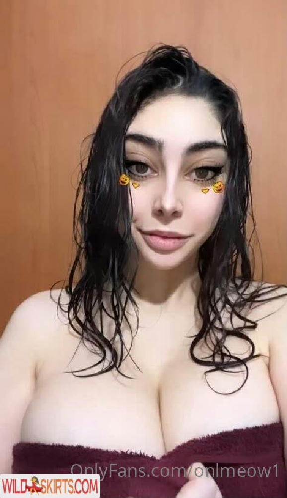 onlmeow1 / onlmeow nude OnlyFans, Instagram leaked photo #2