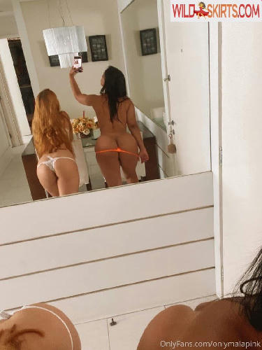 onlymalapink / Camila and Fernanda / Mala Pink / blogmalapink / onlymalapink nude OnlyFans, Instagram leaked photo #27