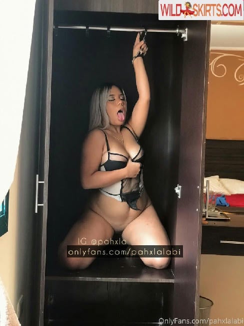 pahxlalabi / pahxlalabi / soypahxla nude OnlyFans, Instagram leaked photo #284