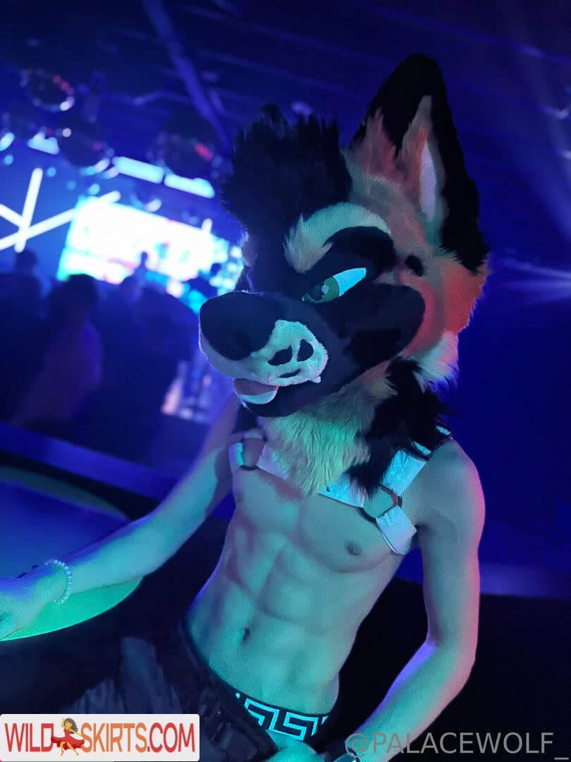 Palacewolf nude leaked photo #4