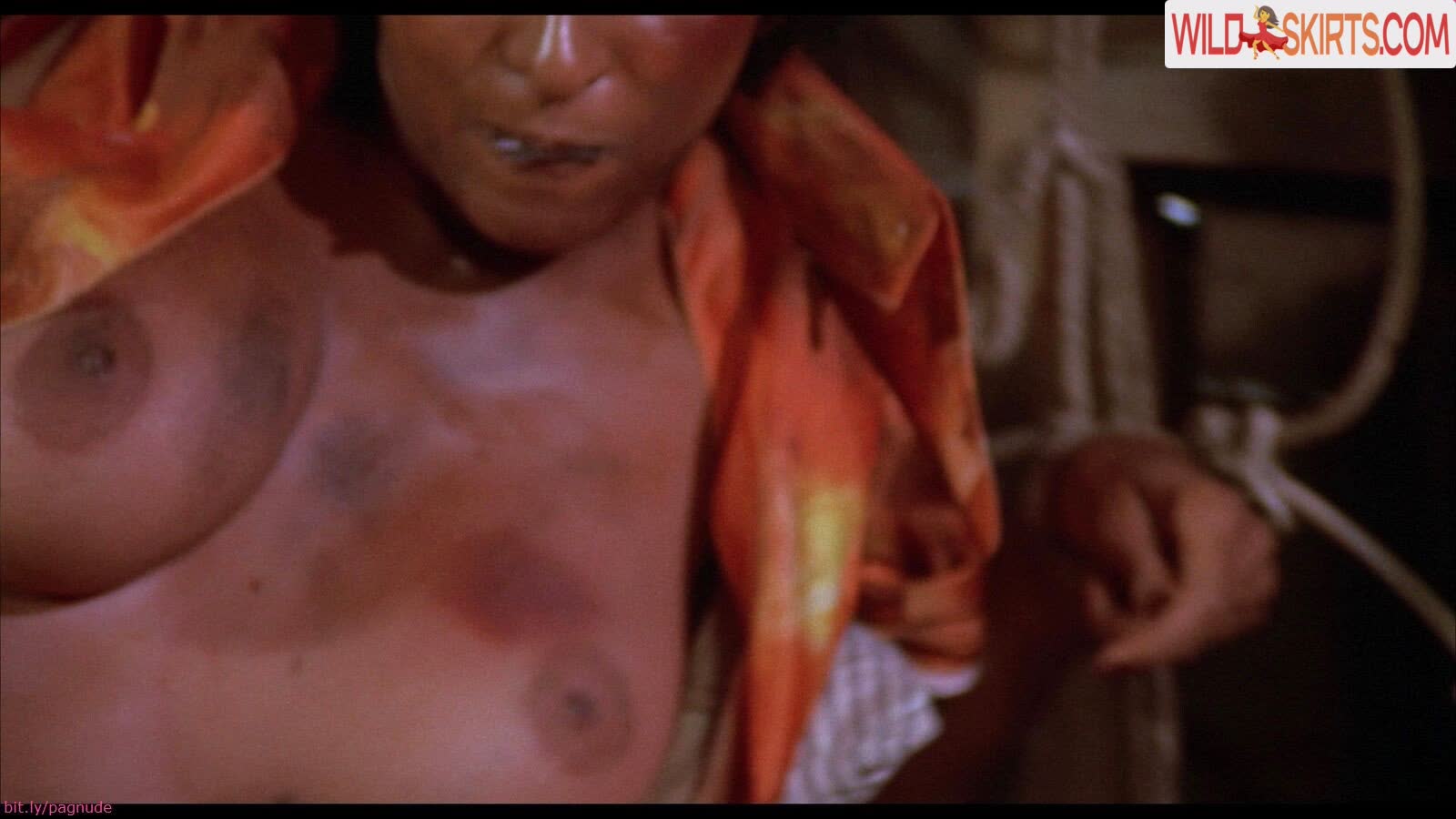 Pam Grier nude leaked photo #116