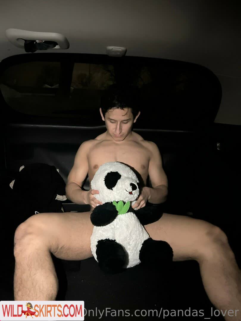 pandas_lover nude OnlyFans leaked photo #3