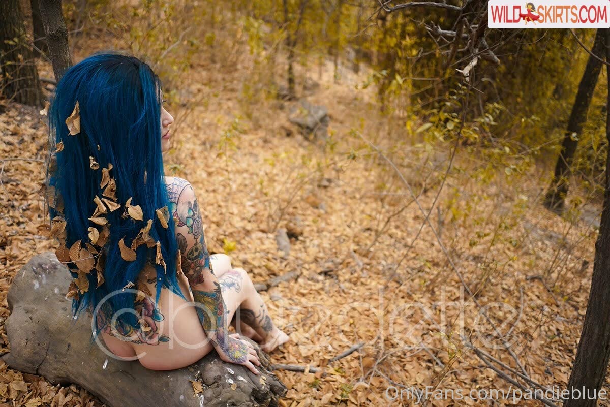 Pandieblue nude leaked photo #34