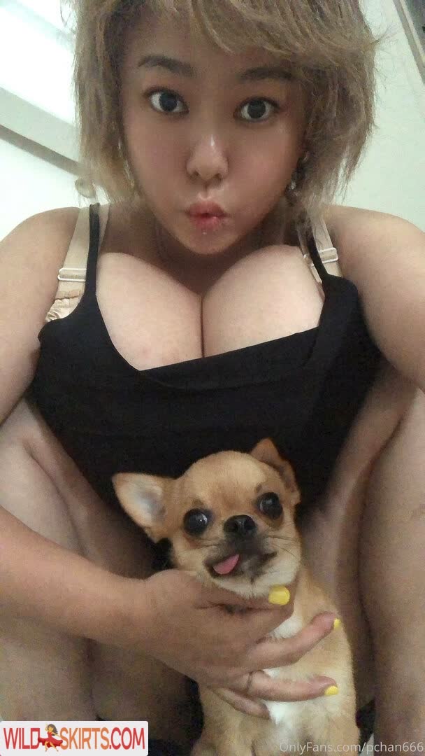 Pchan666 nude leaked photo #186