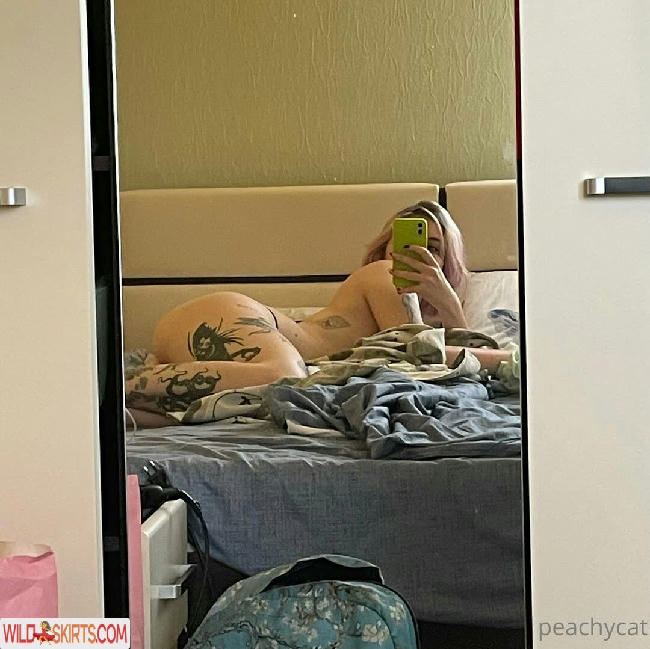 peachycatmeow nude OnlyFans leaked photo #13