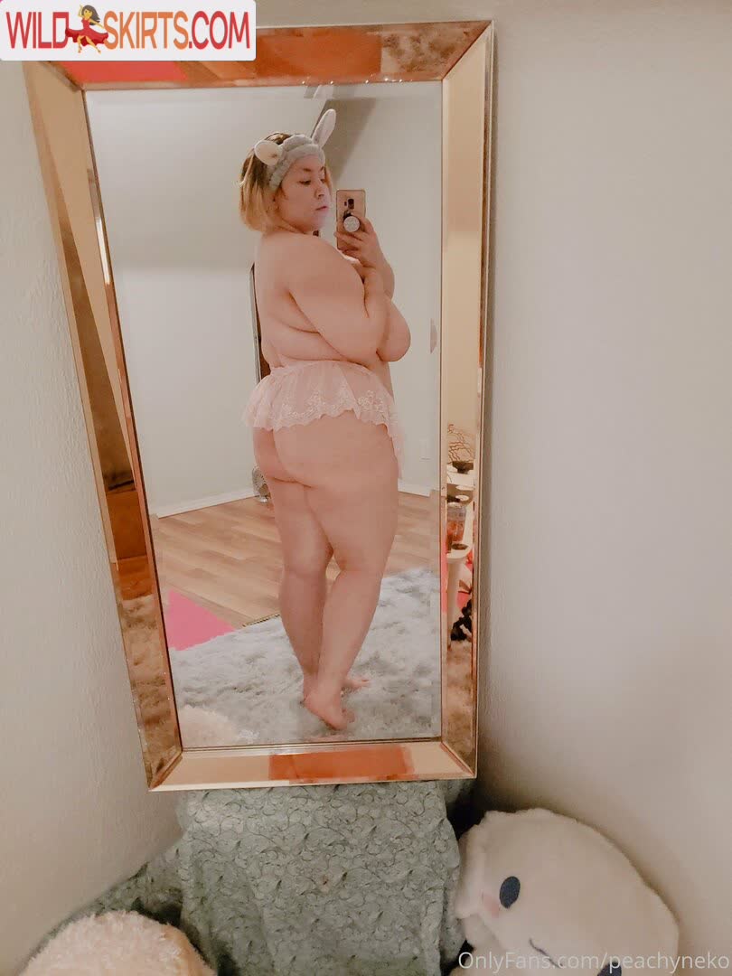 peachyneko / peachyneko / peachynekoo nude OnlyFans, Instagram leaked photo #3