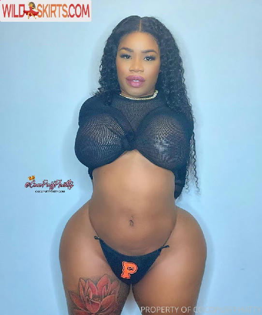 phattgirlcoco / PhattGirlsOfficial / phattgirlcoco nude OnlyFans, Instagram leaked photo #126