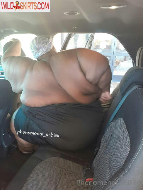 phenomenal_ssbbw / phenomenal_ssbbw / therealbbwlover4real__ nude OnlyFans, Instagram leaked photo #28