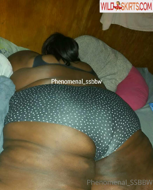 phenomenal_ssbbw / phenomenal_ssbbw / therealbbwlover4real__ nude OnlyFans, Instagram leaked photo #59