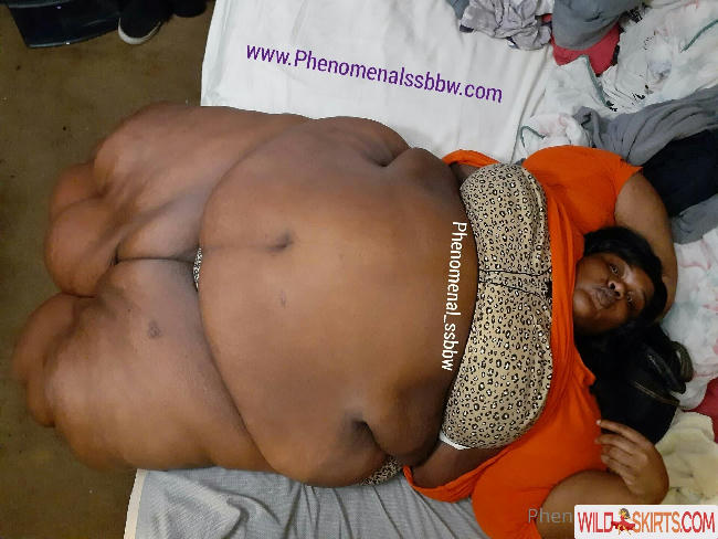 phenomenal_ssbbw / phenomenal_ssbbw / therealbbwlover4real__ nude OnlyFans, Instagram leaked photo #64