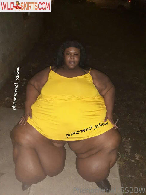 phenomenal_ssbbw / phenomenal_ssbbw / therealbbwlover4real__ nude OnlyFans, Instagram leaked photo #69