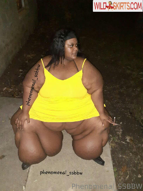 phenomenal_ssbbw / phenomenal_ssbbw / therealbbwlover4real__ nude OnlyFans, Instagram leaked photo #75