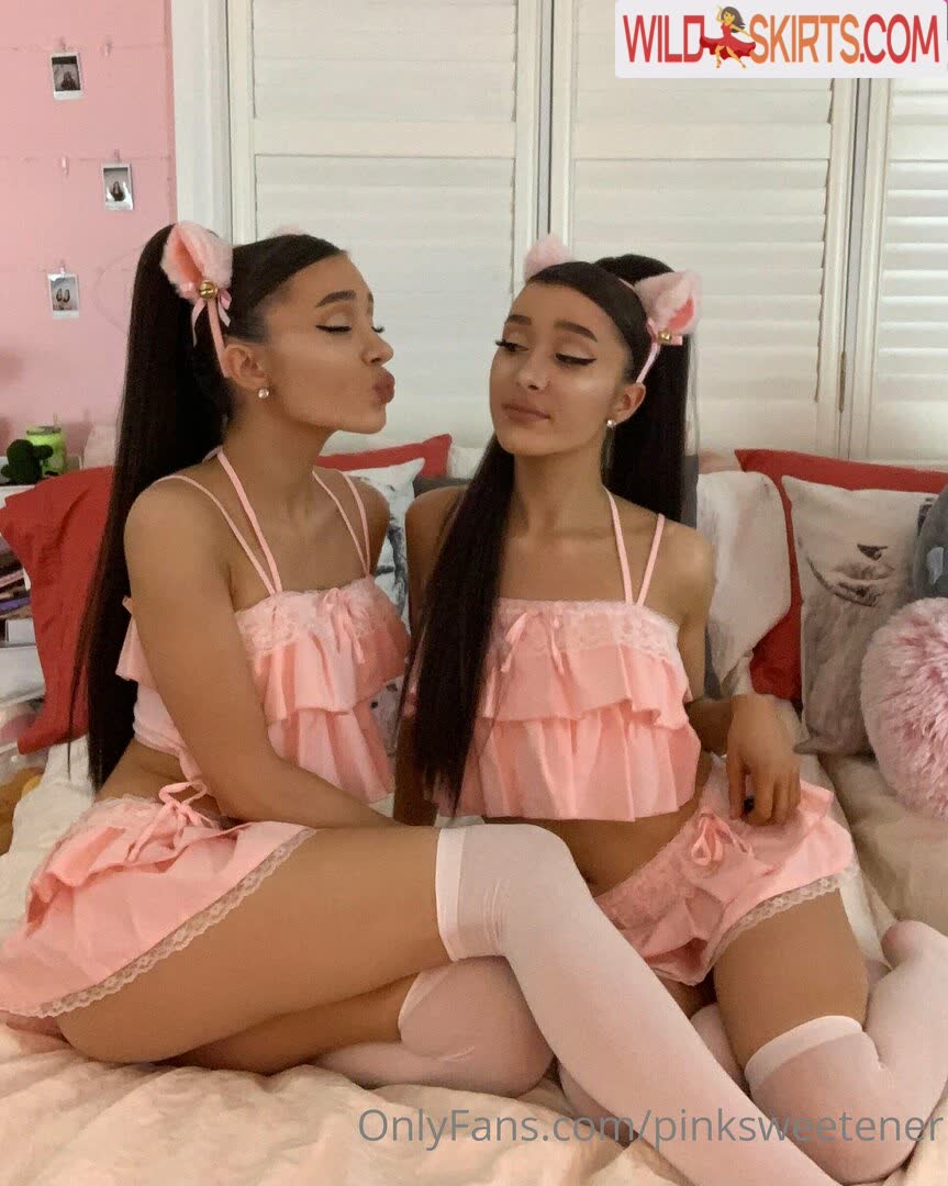 Pink Sweetener / Twins / pink.sweetener1 / pinksweetener nude OnlyFans, Instagram leaked photo #1