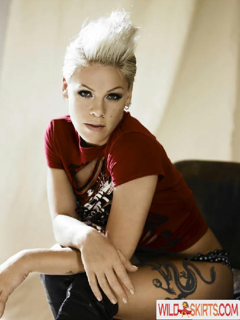 Pink / Alecia Beth Moore / pink / pinksuicide nude OnlyFans, Instagram leaked photo #50