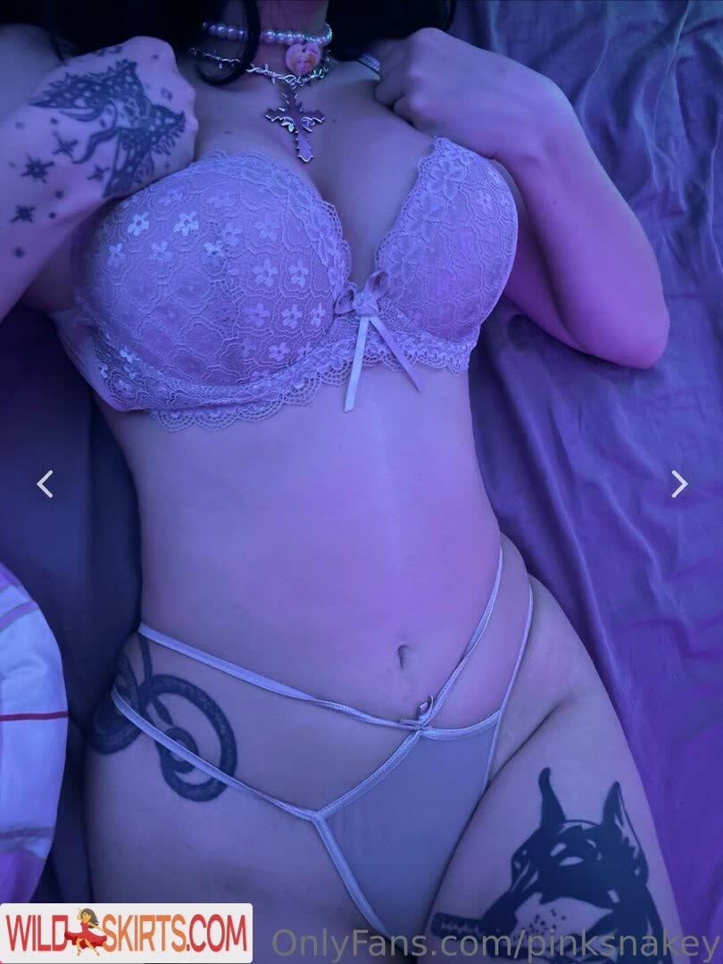 pinksnakey / Pinksnakey69 / pinksnakey nude OnlyFans, Instagram leaked photo #10