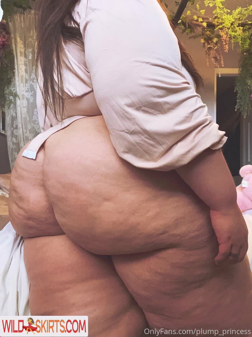 plump_princess nude OnlyFans leaked photo #15