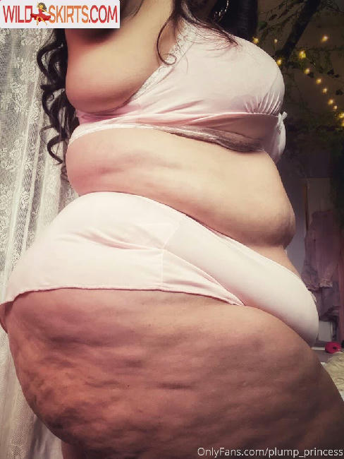 plump_princess nude OnlyFans leaked photo #10