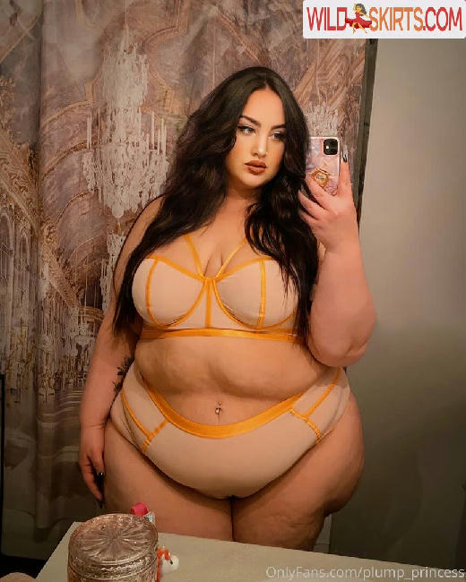 plump_princess nude OnlyFans leaked photo #53