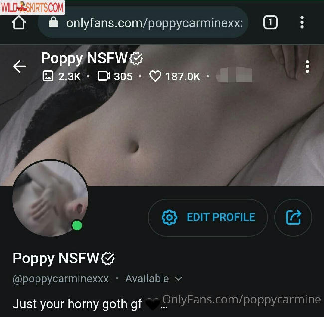 poppycarmine / impoppy / poppycarmine nude OnlyFans, Instagram leaked photo #86