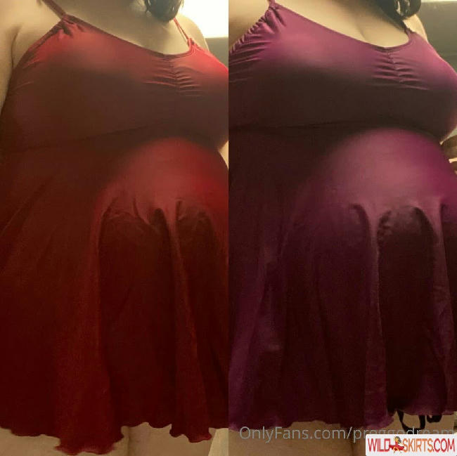 preggodream / kimwanderbug / preggodream nude OnlyFans, Instagram leaked photo #1