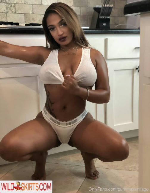 Pumma Santiago / pumma.santiago / pummasantiago nude OnlyFans, Instagram leaked photo #115