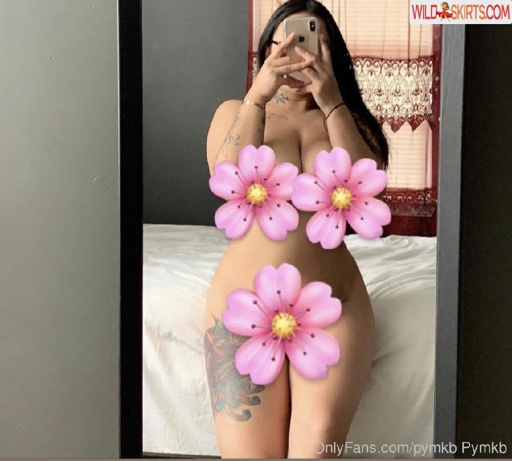 pymkb nude OnlyFans leaked photo #24