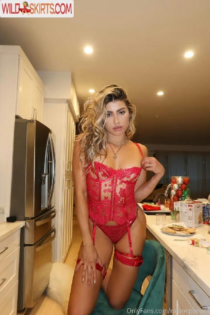 Raiane Pereira / raianemacedo / raianepereira nude OnlyFans, Instagram leaked photo #11