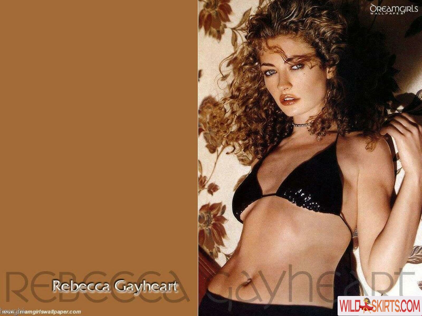 Rebecca Gayheart nude leaked photo #16