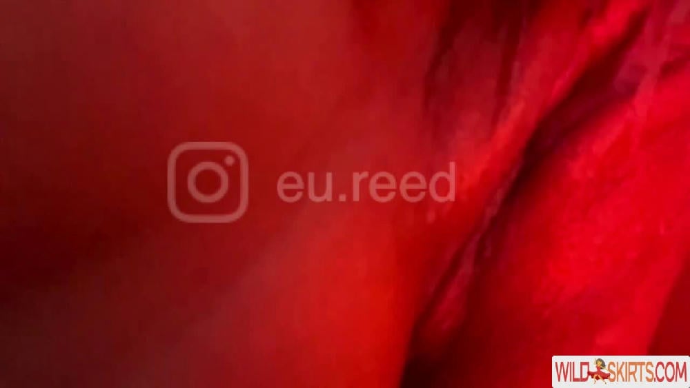 Reed_Cht / eu.reed / reed_cht nude OnlyFans, Instagram leaked photo #62