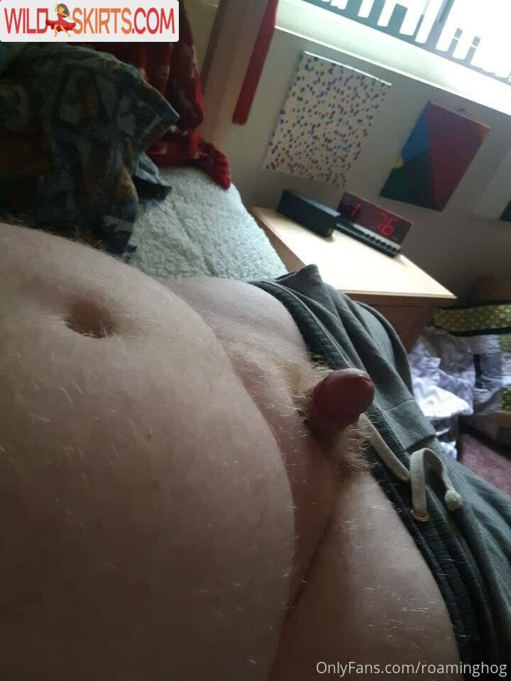 Roaminghog nude leaked photo #26