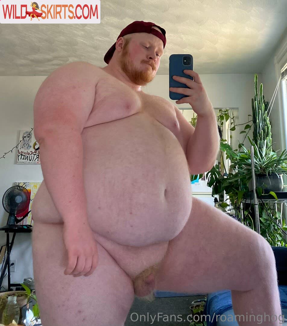 Roaminghog nude leaked photo #181