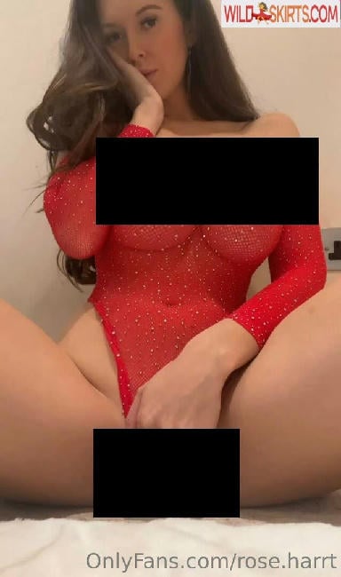 rose.harrt / rose.harrt / rosehartxx nude OnlyFans, Instagram leaked photo #19