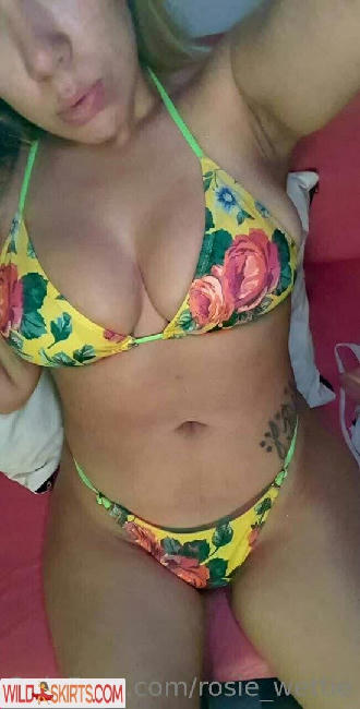 rosie_wettie / rosie_burke / rosie_wettie nude OnlyFans, Instagram leaked photo #2