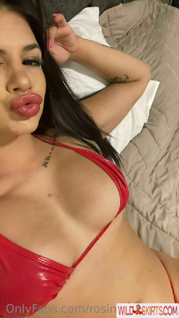 rosinavaliente2 nude OnlyFans, Instagram leaked photo #134