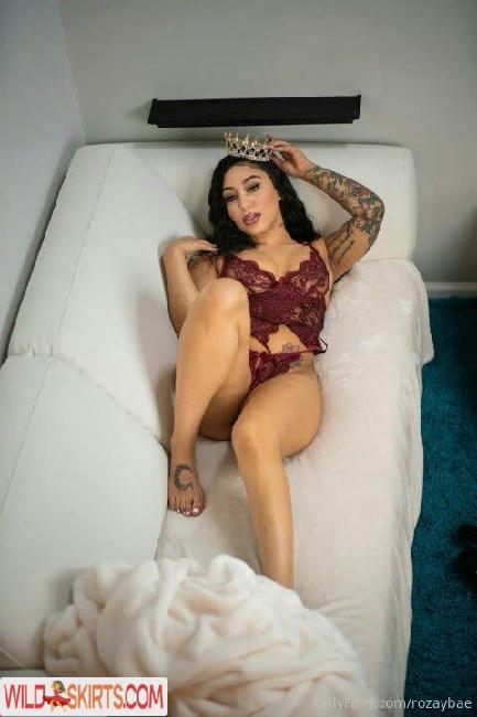 rozaybae / lilmissaries_ / rozaybae nude OnlyFans, Instagram leaked photo #13