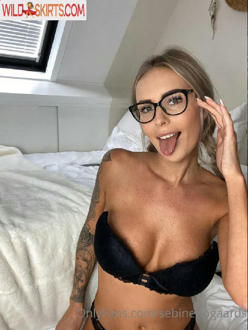 Sebine Bogaards / sebinebogaards nude OnlyFans, Instagram leaked photo #24